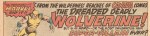Wolverine ad
